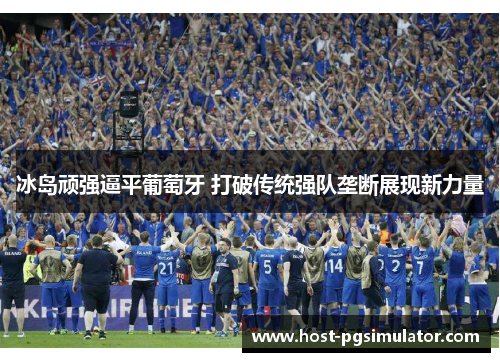 冰岛顽强逼平葡萄牙 打破传统强队垄断展现新力量