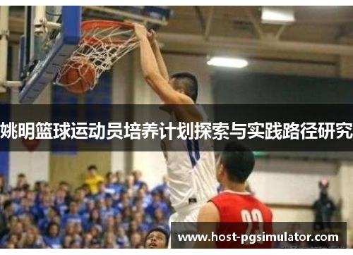 姚明篮球运动员培养计划探索与实践路径研究