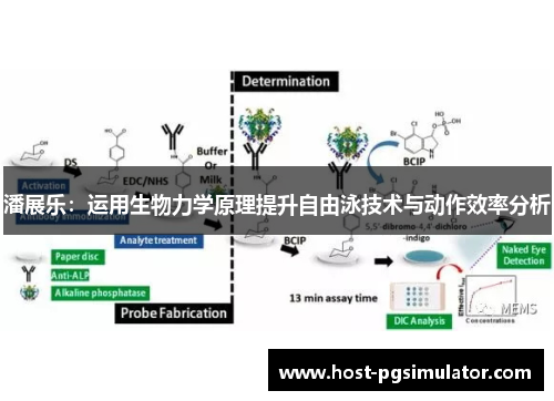 潘展乐：运用生物力学原理提升自由泳技术与动作效率分析