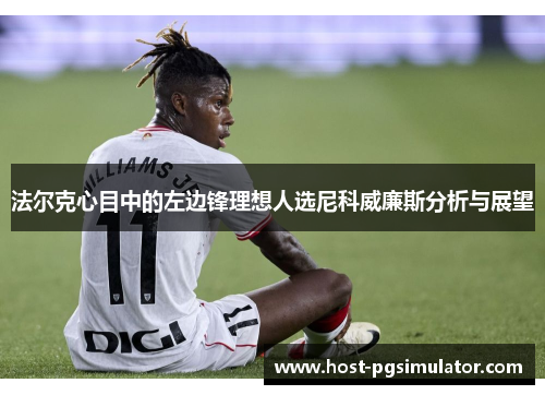 法尔克心目中的左边锋理想人选尼科威廉斯分析与展望