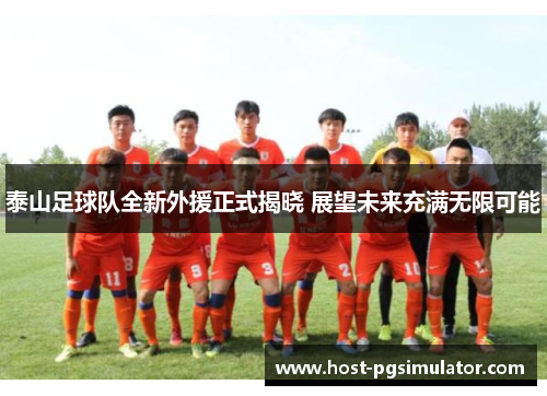 泰山足球队全新外援正式揭晓 展望未来充满无限可能