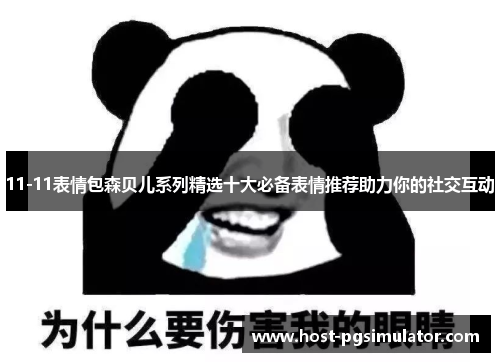 11-11表情包森贝儿系列精选十大必备表情推荐助力你的社交互动