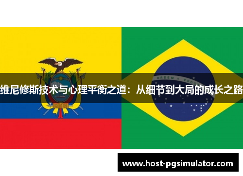 维尼修斯技术与心理平衡之道：从细节到大局的成长之路