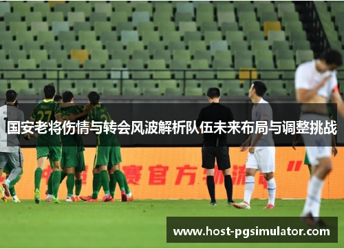 国安老将伤情与转会风波解析队伍未来布局与调整挑战
