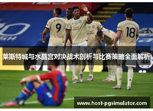 莱斯特城与水晶宫对决战术剖析与比赛策略全面解析
