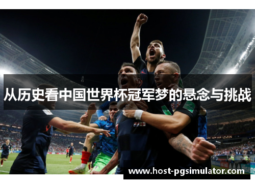 从历史看中国世界杯冠军梦的悬念与挑战