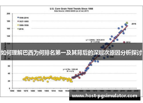 如何理解巴西为何排名第一及其背后的深层次原因分析探讨