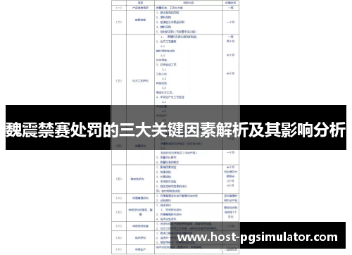魏震禁赛处罚的三大关键因素解析及其影响分析