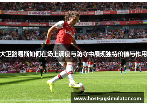 大卫路易斯如何在场上调度与防守中展现独特价值与作用