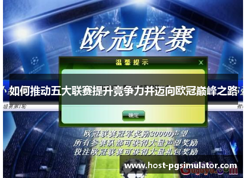 如何推动五大联赛提升竞争力并迈向欧冠巅峰之路