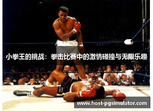 小拳王的挑战：拳击比赛中的激情碰撞与无限乐趣